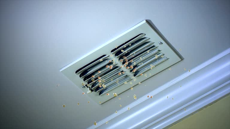 Best Affordable HVAC Duct Cleaning  in Murraysville, NC